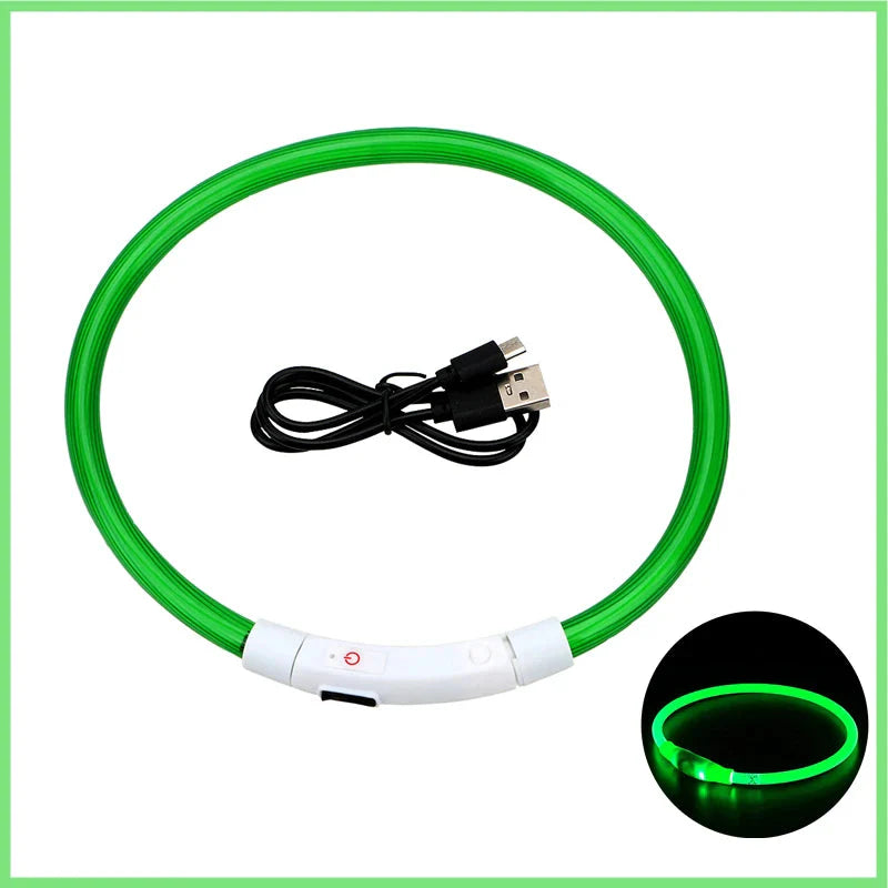 LED Pet Dog Collar for Night Safety | Bright USB Rechargeable - BIG FRENCHIES