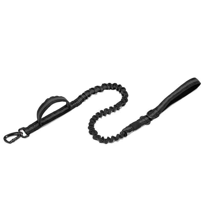 Durable Nylon Dog Collar with Reflective Leash Set - BIG FRENCHIES