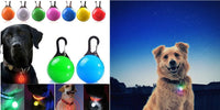 LED Pet Dog Collar for Night Safety | Bright USB Rechargeable - BIG FRENCHIES