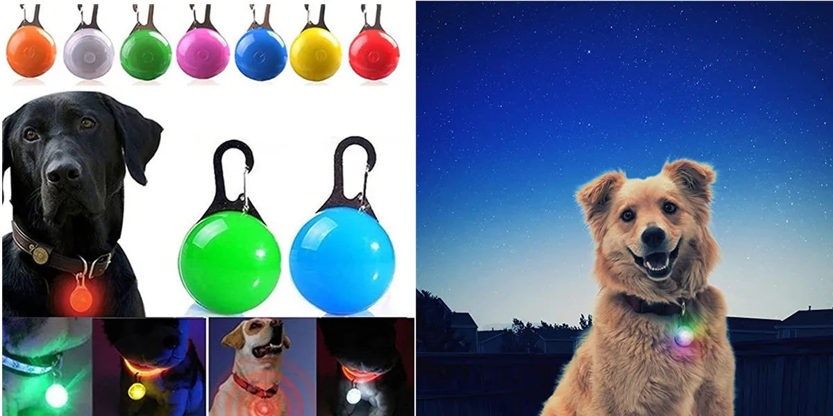 LED Pet Dog Collar for Night Safety | Bright USB Rechargeable - BIG FRENCHIES