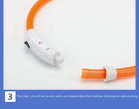 LED Pet Dog Collar for Night Safety | Bright USB Rechargeable - BIG FRENCHIES