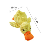Squeaky Dog Toy – Durable Chew & Molar Toy for Small & Large Dogs - BIG FRENCHIES