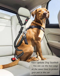 Adjustable Heavy-Duty Dog Car Seat Belt – Striped Nylon Safety Leash for Large Dogs - BIG FRENCHIES
