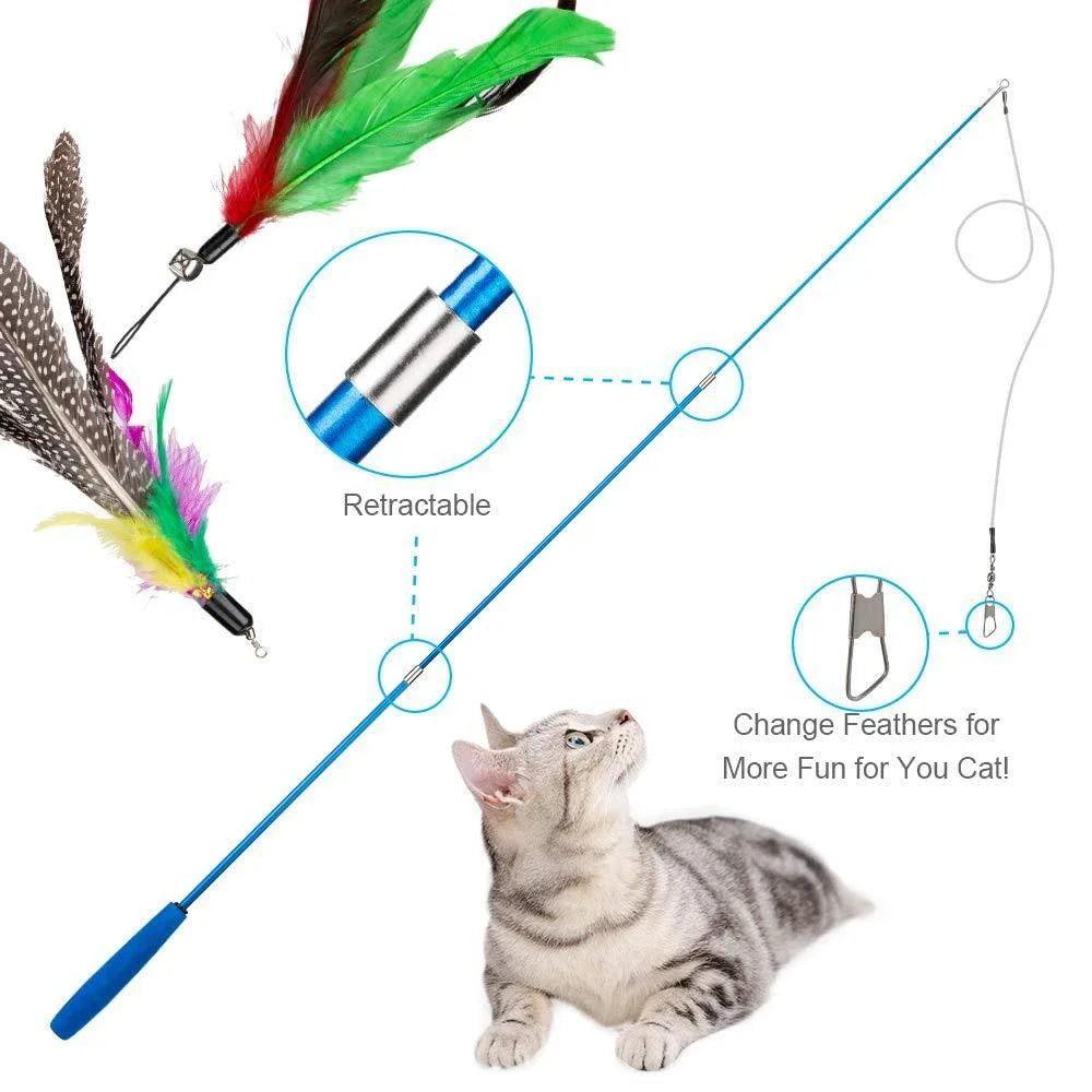 11PCS Cat Feather Toy Set – Replacement Feather Heads & Retractable Cat Wand Interactive Teaser Toys - BIG FRENCHIES
