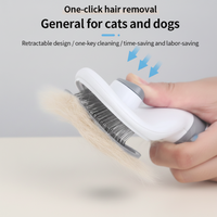 Self-Cleaning Slicker Brush
