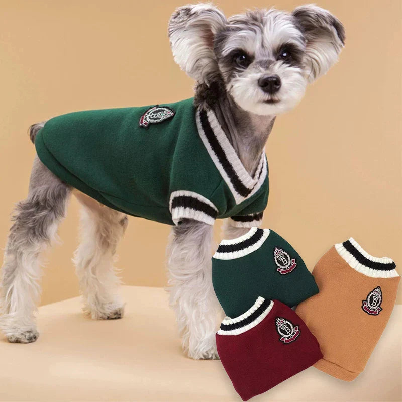 Small Dog Winter Sweater - V-Neck College Style Knitwear - BIG FRENCHIES