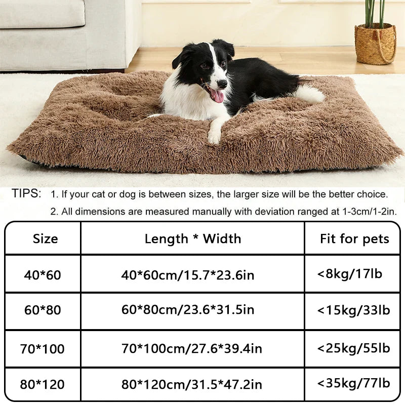 Plush Soft Dog & Cat Bed – Cozy Pet Sleeping Sofa - BIG FRENCHIES