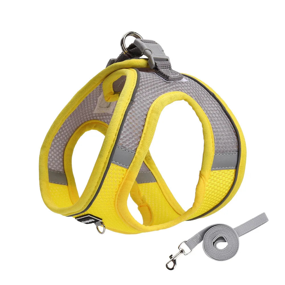 Adjustable Dog Harness & Leash Set for Small Dogs – Comfortable & Safe Walking Gear - BIG FRENCHIES