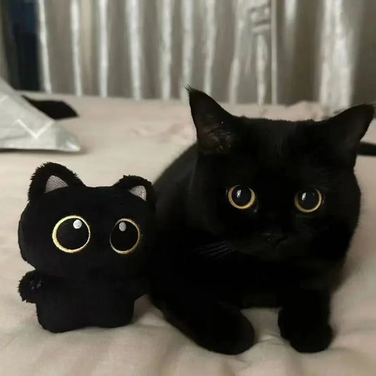 Cute Black Cat Plush Toy Doll – Soft Cuddly Pillow & Pendant Gift - BIG FRENCHIES