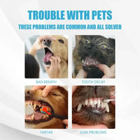 Complete Pet Toothbrush And Toothpaste Kit - BIG FRENCHIES