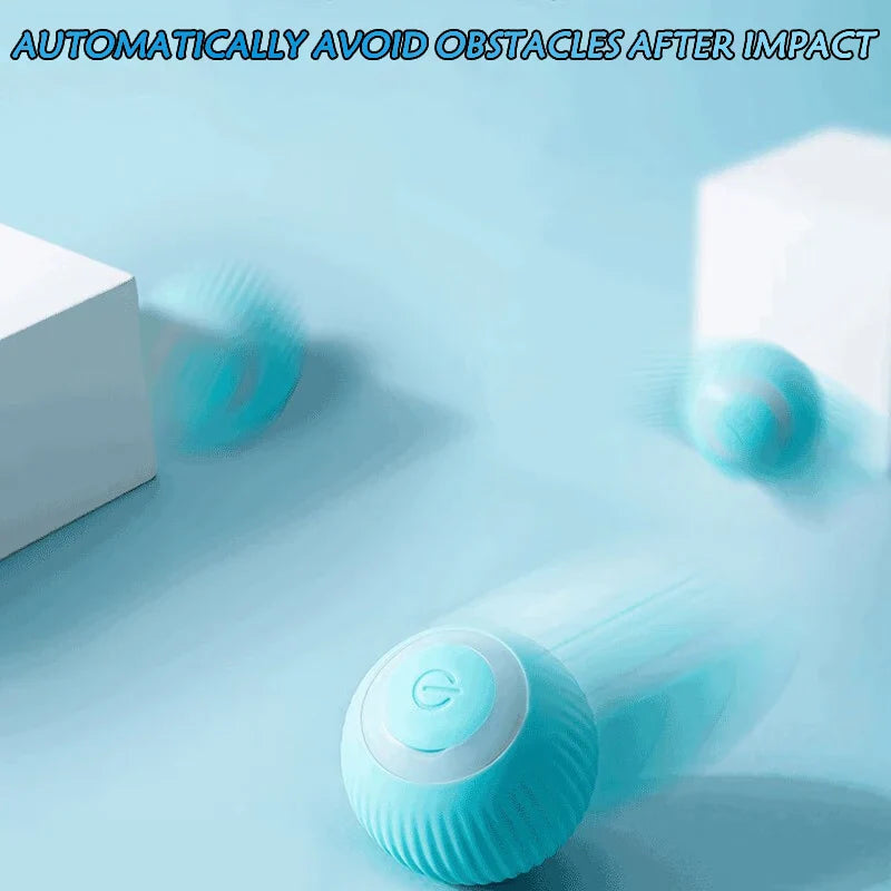 Smart Cat Toy Ball: Auto-Rolling for Active Play - BIG FRENCHIES