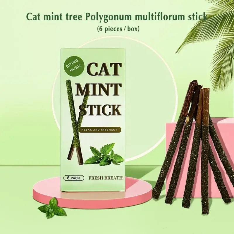 6PCS Natural Matatabi Cat Sticks – Silvervine Teeth Cleaning Treat & Cat Chew Toy - BIG FRENCHIES