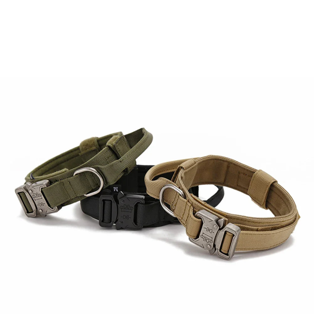 Durable Nylon Dog Collar with Reflective Leash Set - BIG FRENCHIES