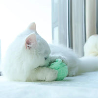 Colorful Yarn Ball Cat Toys with Bell - BIG FRENCHIES