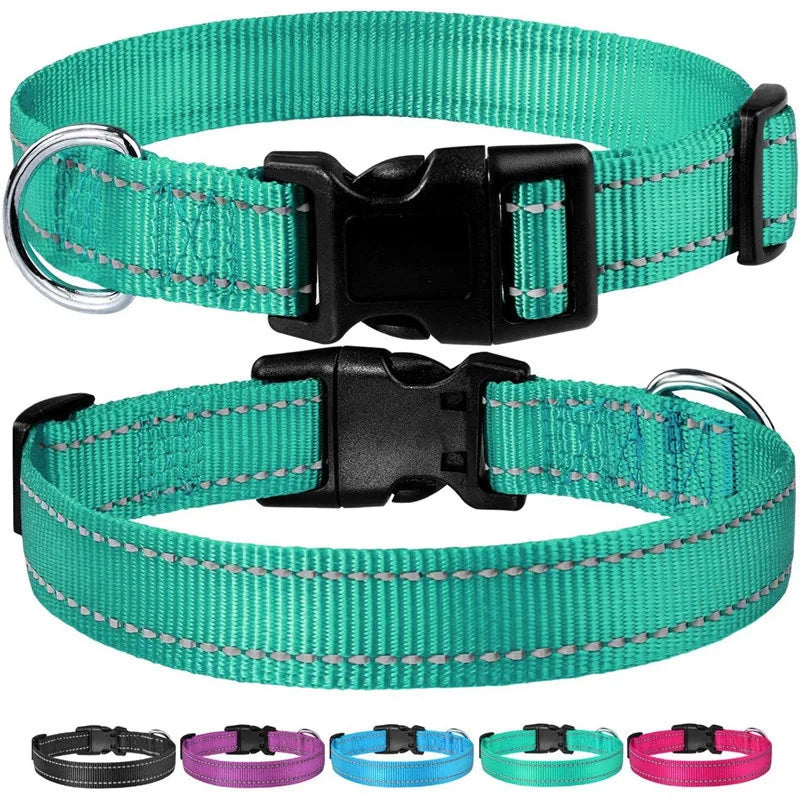 Reflective Adjustable Nylon Dog Collar Strap – Safety Traction Rope - BIG FRENCHIES