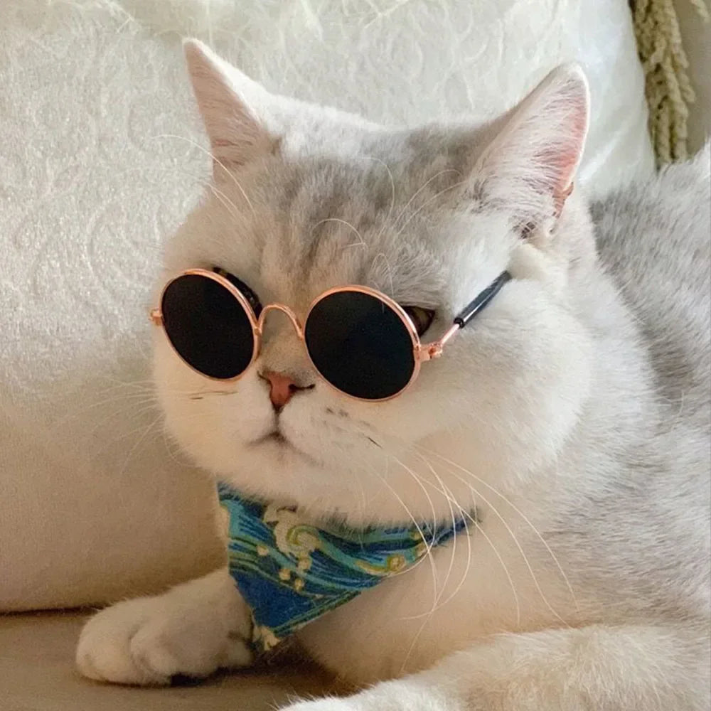Cat & Dog Sunglasses – UV Protection Pet Photo Props - BIG FRENCHIES