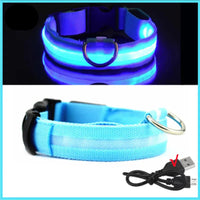 LED Pet Dog Collar for Night Safety | Bright USB Rechargeable - BIG FRENCHIES