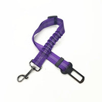 Pet Car Seat Belt Harness – Adjustable Safety Clip for Dogs & Cats - BIG FRENCHIES