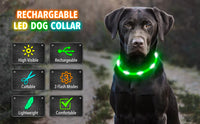 LED Pet Dog Collar for Night Safety | Bright USB Rechargeable - BIG FRENCHIES