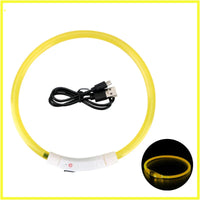 LED Pet Dog Collar for Night Safety | Bright USB Rechargeable - BIG FRENCHIES