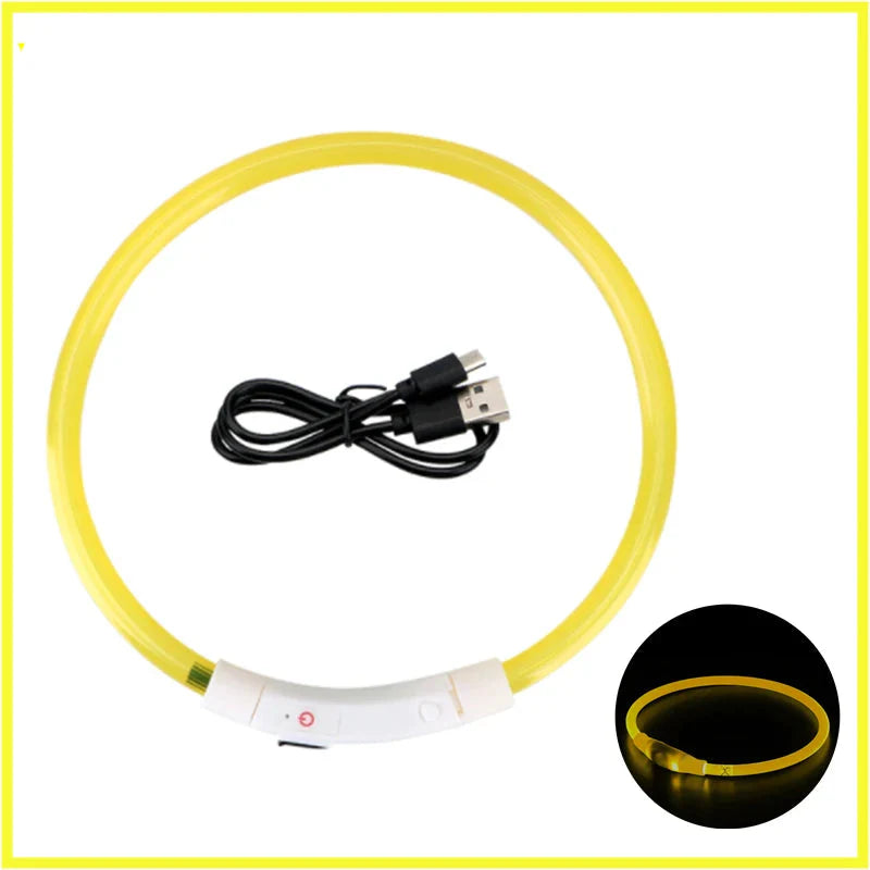 LED Pet Dog Collar for Night Safety | Bright USB Rechargeable - BIG FRENCHIES