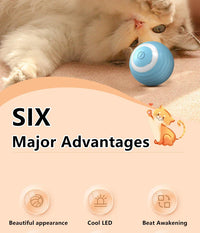 Smart Cat Toy Ball: Auto-Rolling for Active Play - BIG FRENCHIES