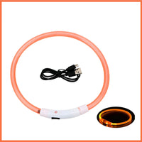 LED Pet Dog Collar for Night Safety | Bright USB Rechargeable - BIG FRENCHIES