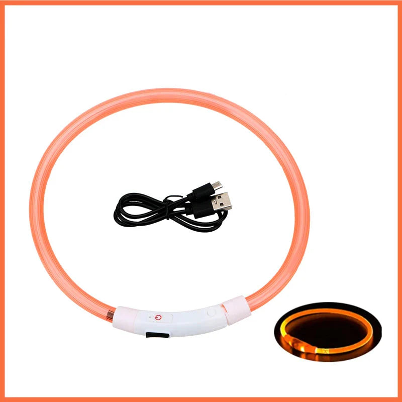 LED Pet Dog Collar for Night Safety | Bright USB Rechargeable - BIG FRENCHIES