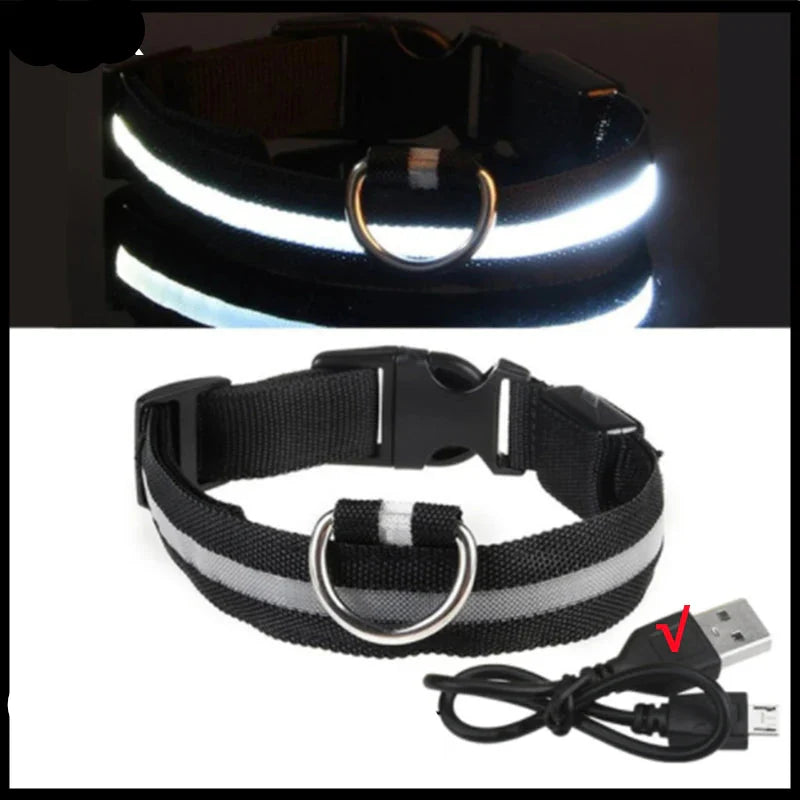 LED Pet Dog Collar for Night Safety | Bright USB Rechargeable - BIG FRENCHIES