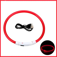 LED Pet Dog Collar for Night Safety | Bright USB Rechargeable - BIG FRENCHIES