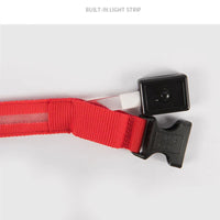 LED Pet Dog Collar for Night Safety | Bright USB Rechargeable - BIG FRENCHIES