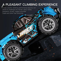 ZWN 1:16/1:20 RC Car 2WD Off-Road Remote Control Car with LED Light - BIG FRENCHIES