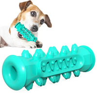 Chew-Resistant Rubber Dog Toy for Dental Health - BIG FRENCHIES