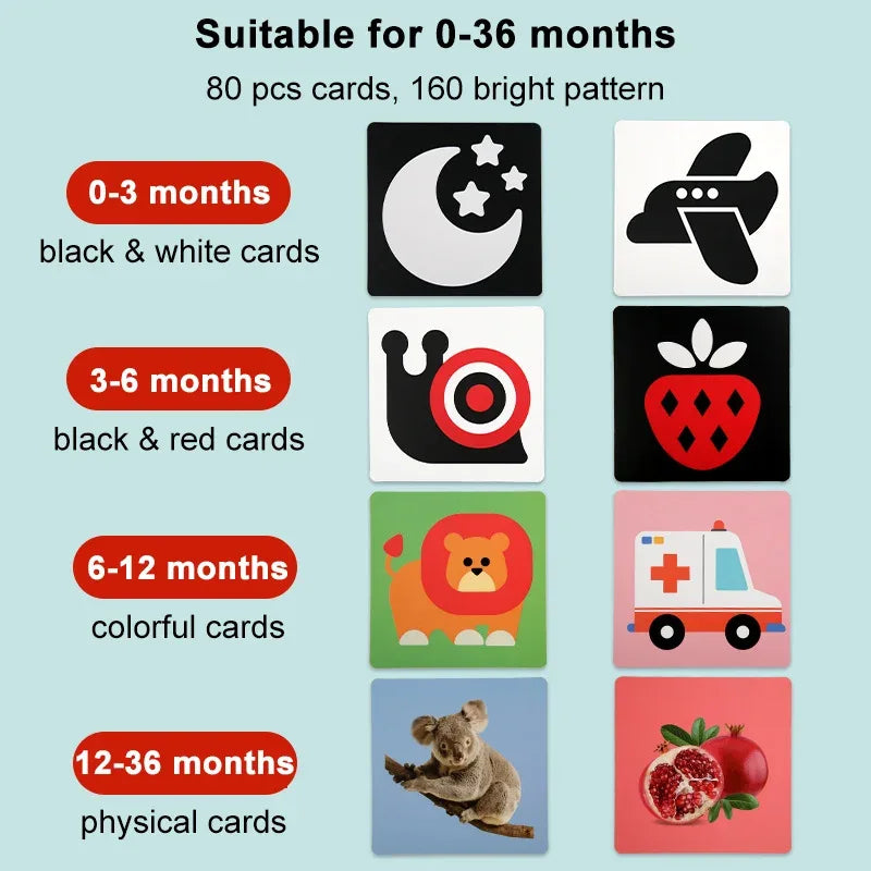 Baby Montessori Flash Cards – Black & White Visual Stimulation Toy - BIG FRENCHIES