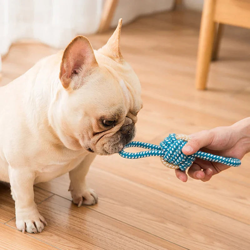 Dog Rope Toy for Strong Chewers and Puppies - BIG FRENCHIES