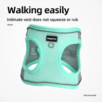 Adjustable Dog Harness & Leash Set for Small Dogs – Comfortable & Safe Walking Gear - BIG FRENCHIES