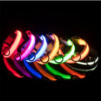 LED Pet Dog Collar for Night Safety | Bright USB Rechargeable - BIG FRENCHIES