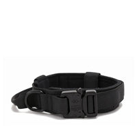 Durable Nylon Dog Collar with Reflective Leash Set - BIG FRENCHIES