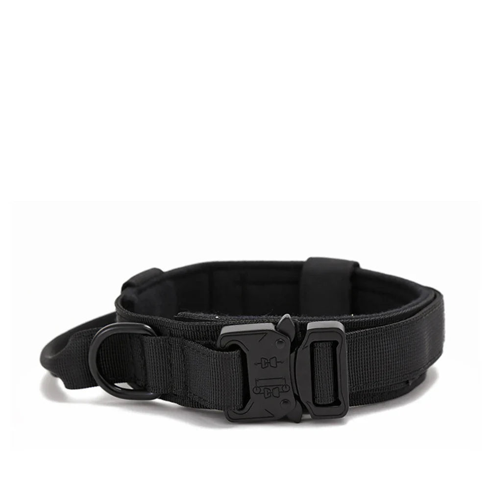Durable Nylon Dog Collar with Reflective Leash Set - BIG FRENCHIES