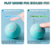 Smart Cat Toy Ball: Auto-Rolling for Active Play - BIG FRENCHIES