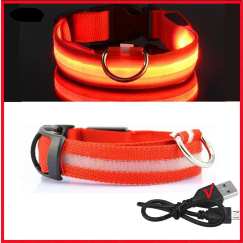 LED Pet Dog Collar for Night Safety | Bright USB Rechargeable - BIG FRENCHIES