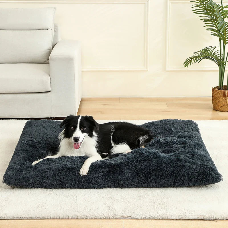 Plush Soft Dog & Cat Bed – Cozy Pet Sleeping Sofa - BIG FRENCHIES