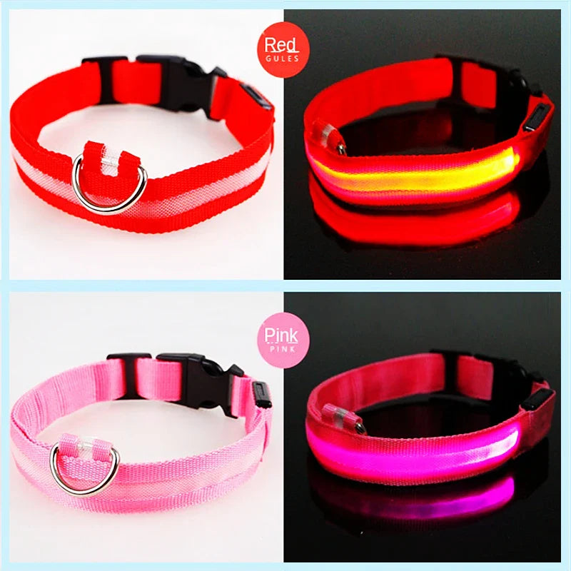 LED Pet Dog Collar for Night Safety | Bright USB Rechargeable - BIG FRENCHIES