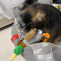 Cute Plush Duck Dog Squeaky Toy – Interactive Chew for Small & Medium Dogs - BIG FRENCHIES