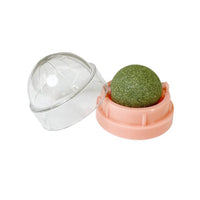 Catnip Wall Ball Treats – Digestive Aid & Fun for Cats - BIG FRENCHIES