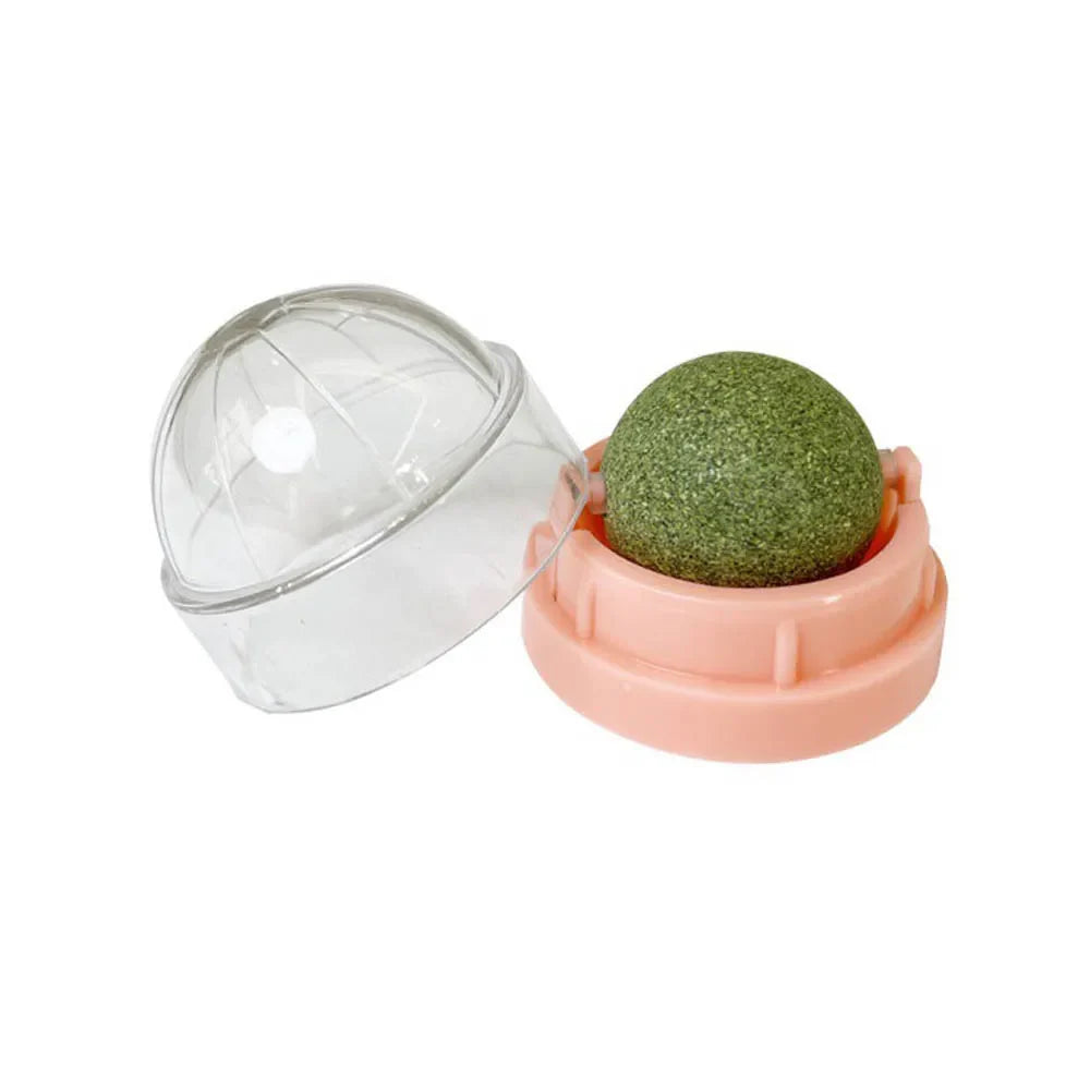 Catnip Wall Ball Treats – Digestive Aid & Fun for Cats - BIG FRENCHIES