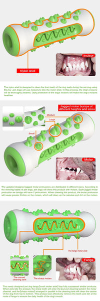 Chew-Resistant Rubber Dog Toy for Dental Health - BIG FRENCHIES