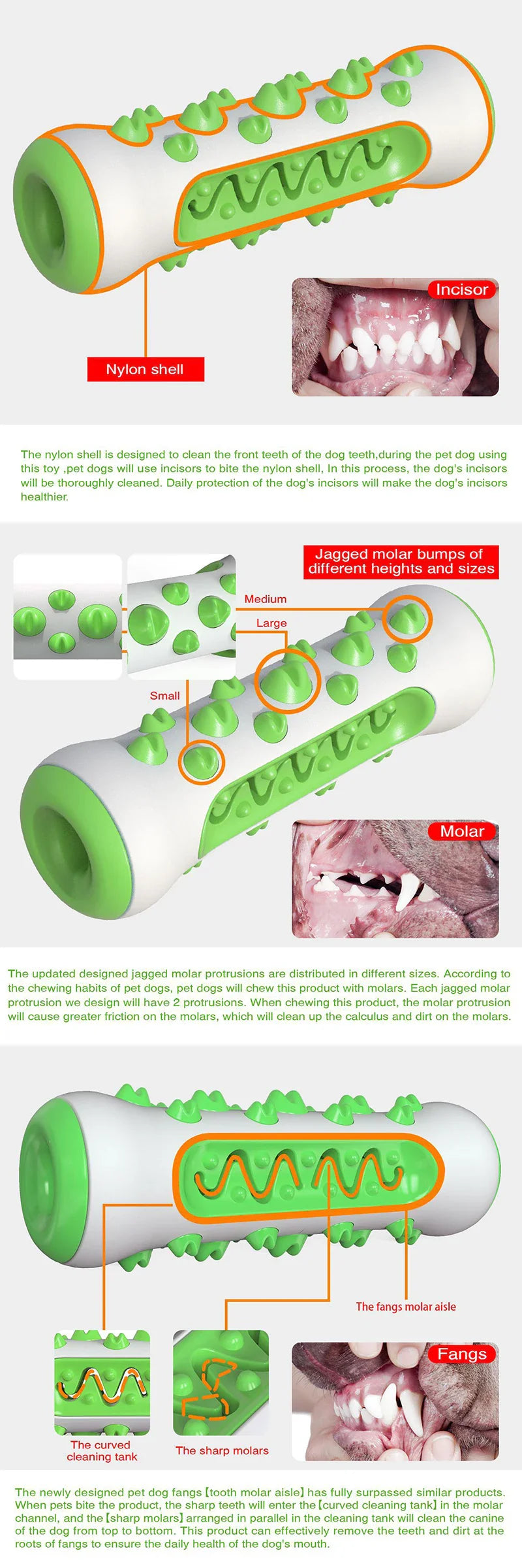 Chew-Resistant Rubber Dog Toy for Dental Health - BIG FRENCHIES