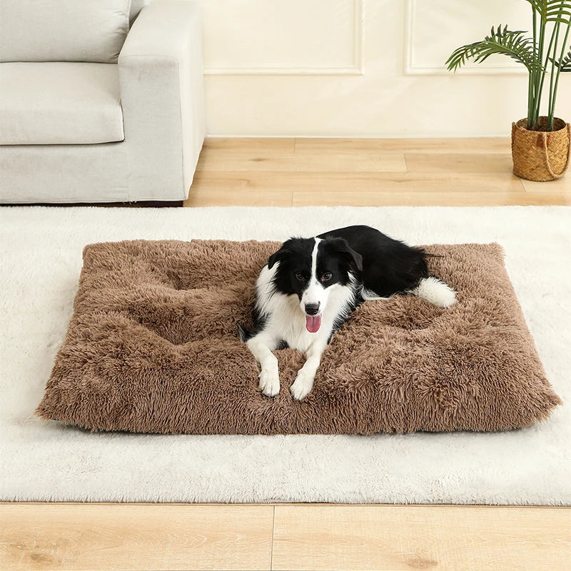 Plush Soft Dog & Cat Bed – Cozy Pet Sleeping Sofa - BIG FRENCHIES