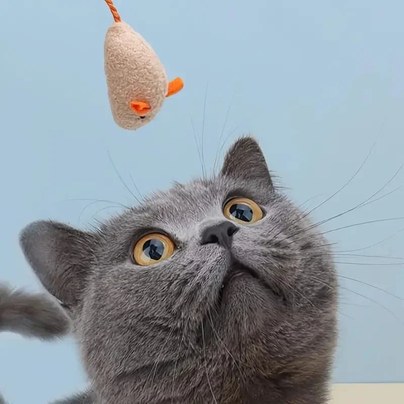 Plush Rat Cat Toy Set – 3/7PCS Durable Linen Indoor Play - BIG FRENCHIES